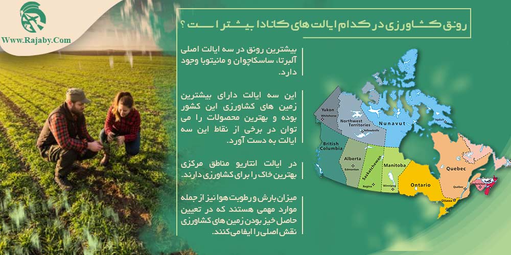 قیمت زمین کشاورزی در کانادا رونق کشاورزی در کدام ایالت های کانادا بیشتر است؟