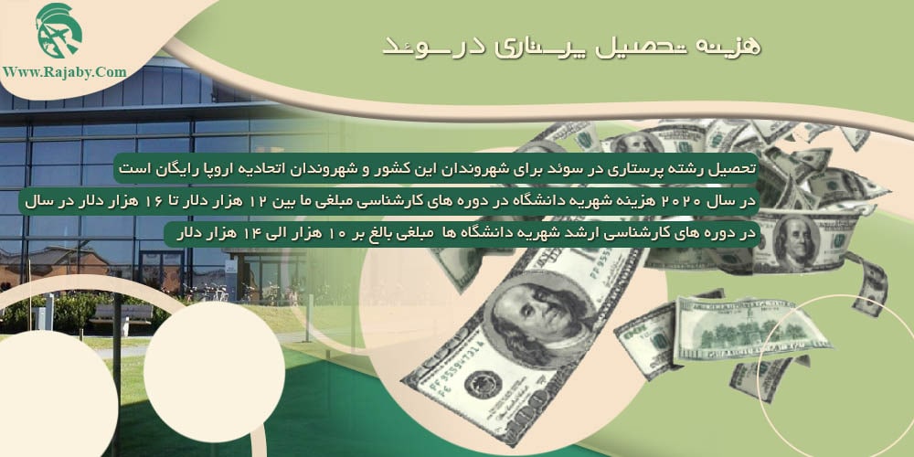 تحصیل رشته پرستاری در سوئد هزینه تحصیل پرستاری در سوئد